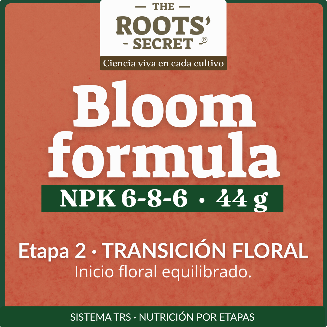 Etiqueta Bloom